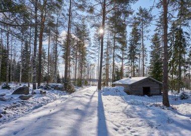 İnanılmaz kış manzarası, küçük kulübesi olan orman..