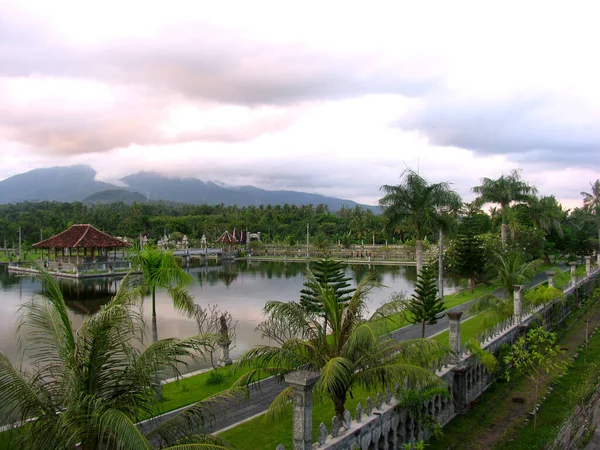 Пальмовый Пруд Бали — стоковое фото