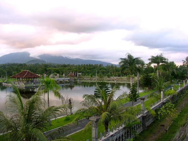 Palmvijver Bali — Stockfoto