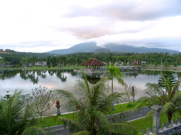 Bali Deki Palmiye Havuzu — Stok fotoğraf