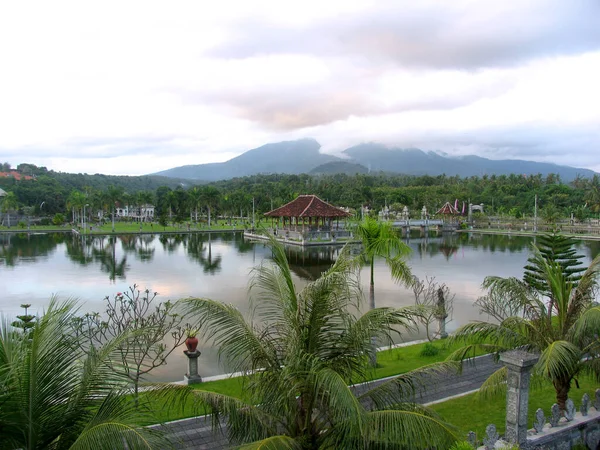 Palmweiher Bali Stockbild
