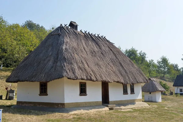 Старі Сільські Будинки Під Солом Яним Дахом — стокове фото