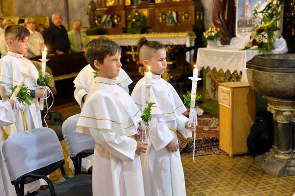 Chernivtsi Bukovina Ukraine 2017 First Communion Children Catholic Church — Stock Photo, Image