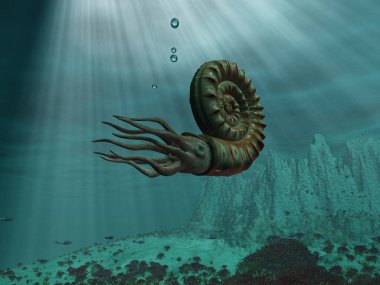 3d illustration of an ammonite at sea clipart