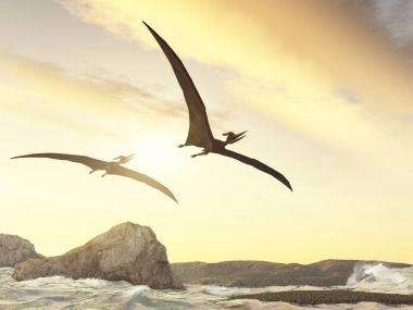  İki pteranodons kayalar denizin üzerinde uçan