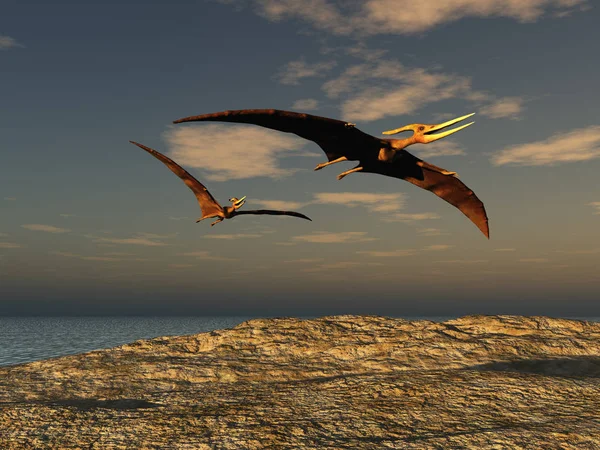 Illustration Två Pteranodons — Stockfoto