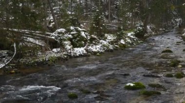 Kışın Dağ Akıntısı