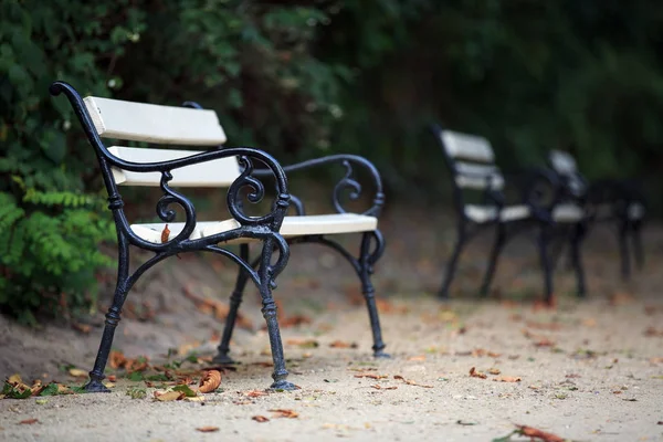 Benches in the park in autumn — Stock Photo, Image