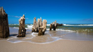 Güneşli bir Baltık Denizi üzerinde eski ahşap dalgakıran