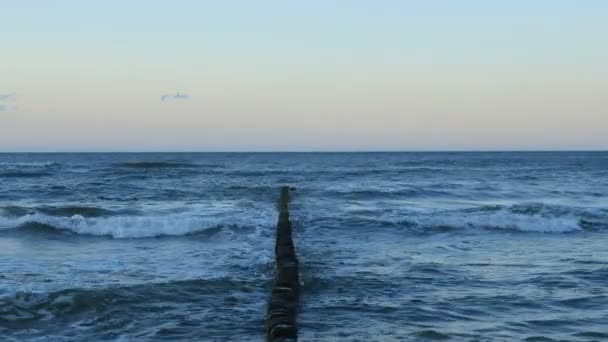 Brise-lames en bois sur la mer Baltique — Video