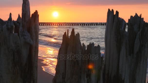 Vieux brise-lames en bois et coucher de soleil sur la mer Baltique — Video