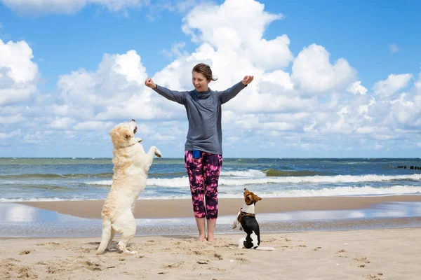 Женщина тренирует собак на пляже — стоковое фото