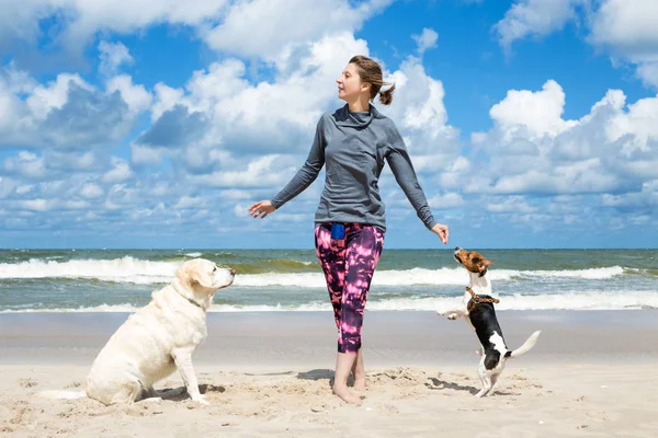 Vrouw opleiding honden op het strand — Stockfoto