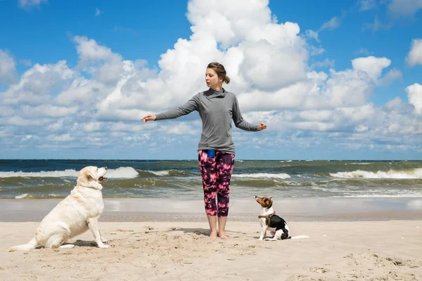 Женщина тренирует собак на пляже — стоковое фото