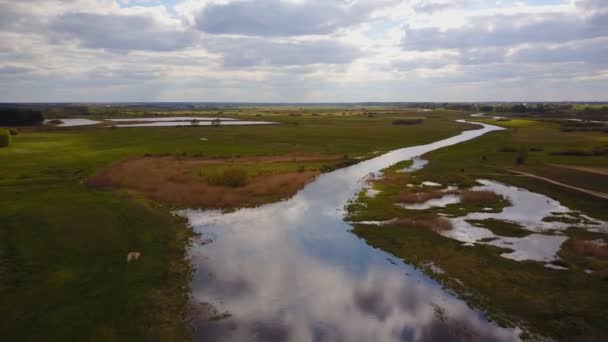 Paisaje polaco, vista del lecho del río desde arriba — Vídeo de stock