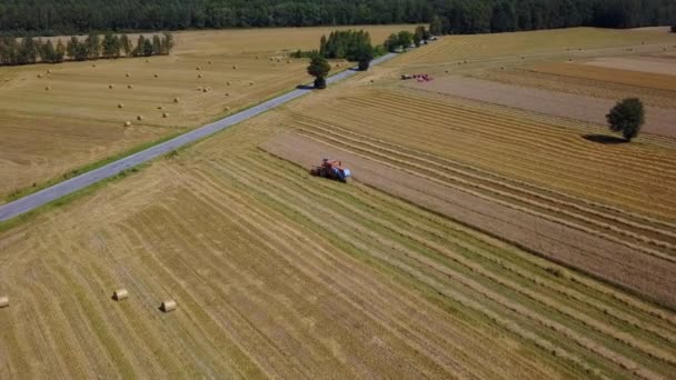 Sklizeň, Kombajn, působící v oblasti — Stock video