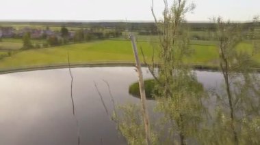 Bir dron tarafından bir ağaç ile çarpışma