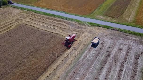 Combinar no trabalho de campo — Vídeo de Stock