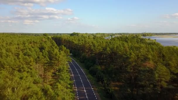 Uitzicht vanaf de top van de weg en het bos — Stockvideo