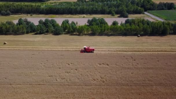 Combine colheitadeira trabalhando em um campo durante a colheita — Vídeo de Stock