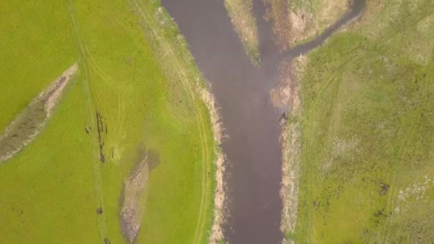 Aerial View River — Stock Video