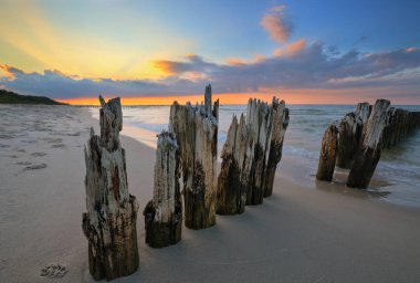 Old wooden breakwater over the Baltic Sea.  clipart