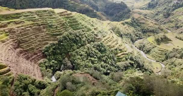 Bakış Açısı Filipinler Luzon Adası Banaue Pirinç Teras — Stok video