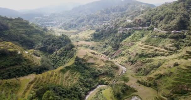 Vista Terraços Arroz Banaue Filipinas Ilha Luzon — Vídeo de Stock