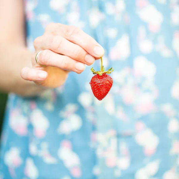 Une Femme Tenant Une Fraise Dans Main — Photo