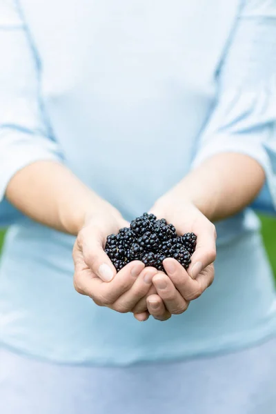 Una Mujer Sosteniendo Moras Sus Manos Imágenes de stock libres de derechos