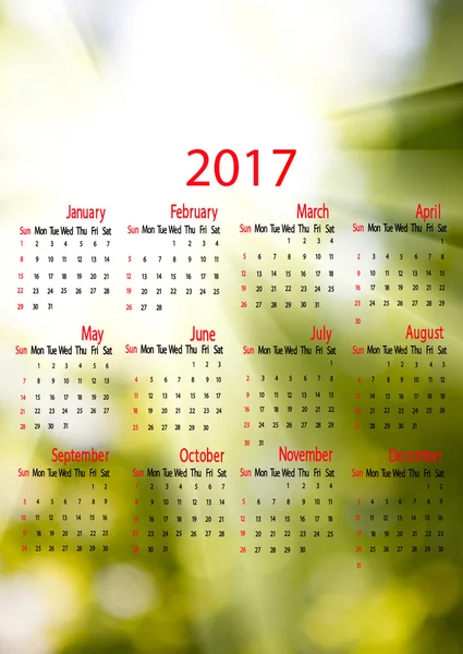 2017 roku kalendarzowego. niewyraźne tło naturalne — Zdjęcie stockowe