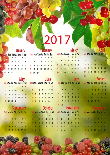 2017 日历。很多成熟的浆果关闭 — 图库照片