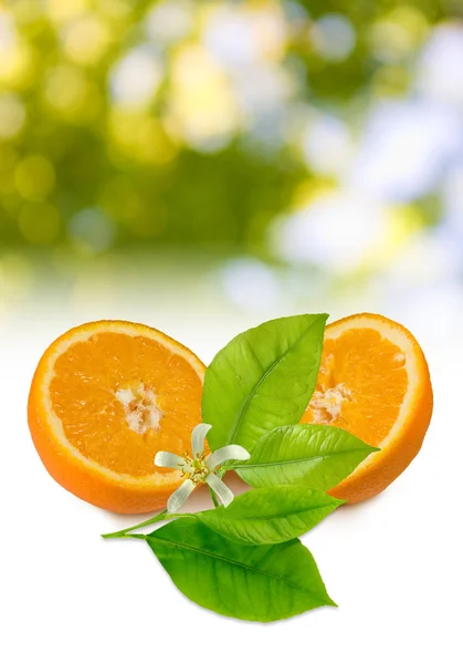 Imagen de naranja primer plano — Foto de Stock