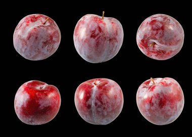 Erik closeup izole görüntü