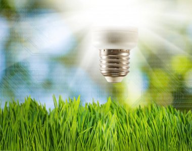 ampul arka planı yeşil yakın-up üzerinde