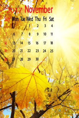 2017 Calendar.November. Düşen yaprakları görüntüsünü