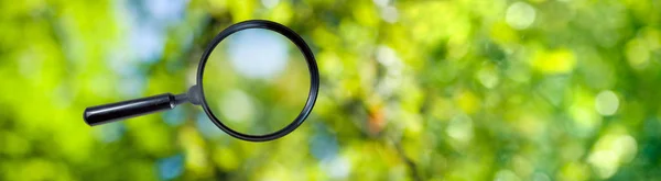 Magnifying glass on green background closeup — Stock Photo, Image