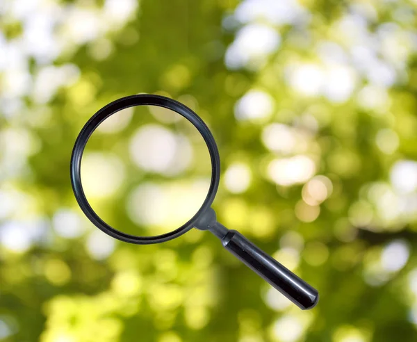 Magnifying glass and grass close up — Stock Photo, Image