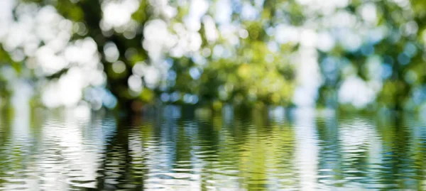 Yakın çekim yeşil arka plan bulanık su — Stok fotoğraf