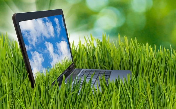 Изображение ноутбука в траве . — стоковое фото