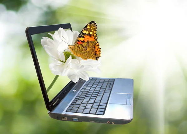 Imagem do laptop em um fundo verde . — Fotografia de Stock