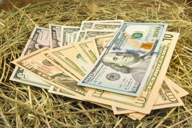 Image of dollars money on hay closeup clipart