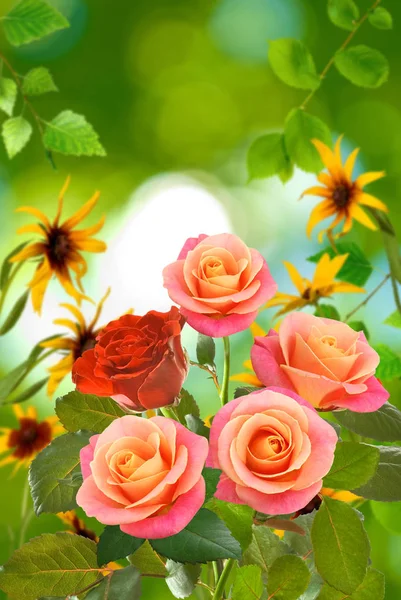 Belas flores em um fundo verde close-up — Fotografia de Stock