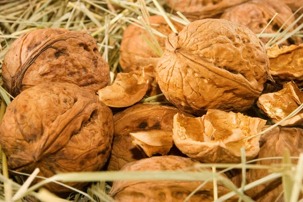 Grote walnoten noten, rijpe noten in gras close-up — Stockfoto