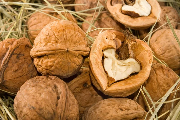 Grote walnoten noten, rijpe noten in gras close-up — Stockfoto