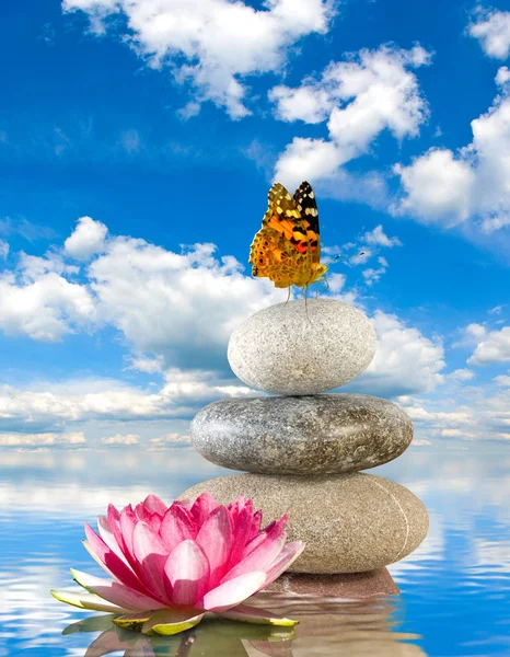 Su üzerinde taş ve nilüfer çiçeği görüntüsü, — Stok fotoğraf