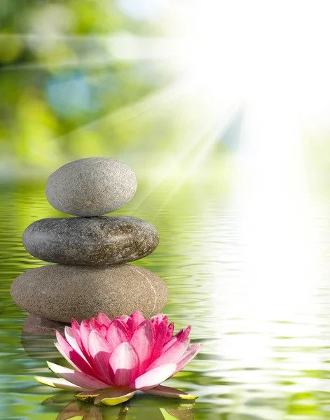 Image of stones and lotus flower on the water close-up, — Stock Photo, Image