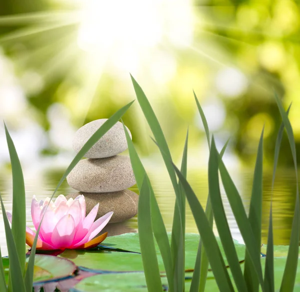 Bild von Steinen und Lotusblume auf dem Wasser aus nächster Nähe, — Stockfoto