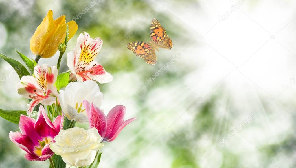 flowers with dew drops on sky background