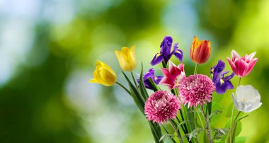 Güzel arka plan bulanık farklı çiçekler buket